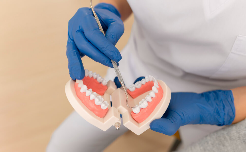 Emergency Dental Care Services in Stanmore - Jaw image